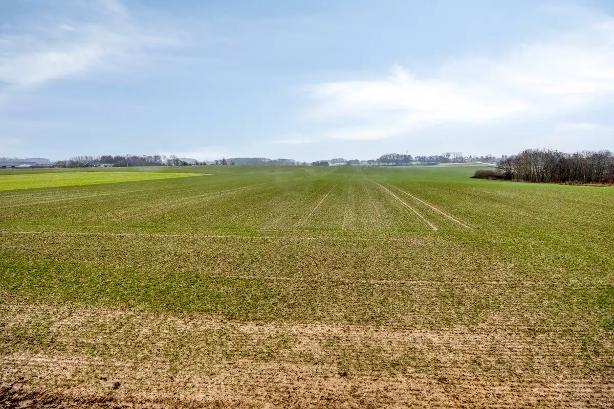 Landbouwgrond vrij van pacht in Bierbeek op een perceel van 1ha  foto 12
