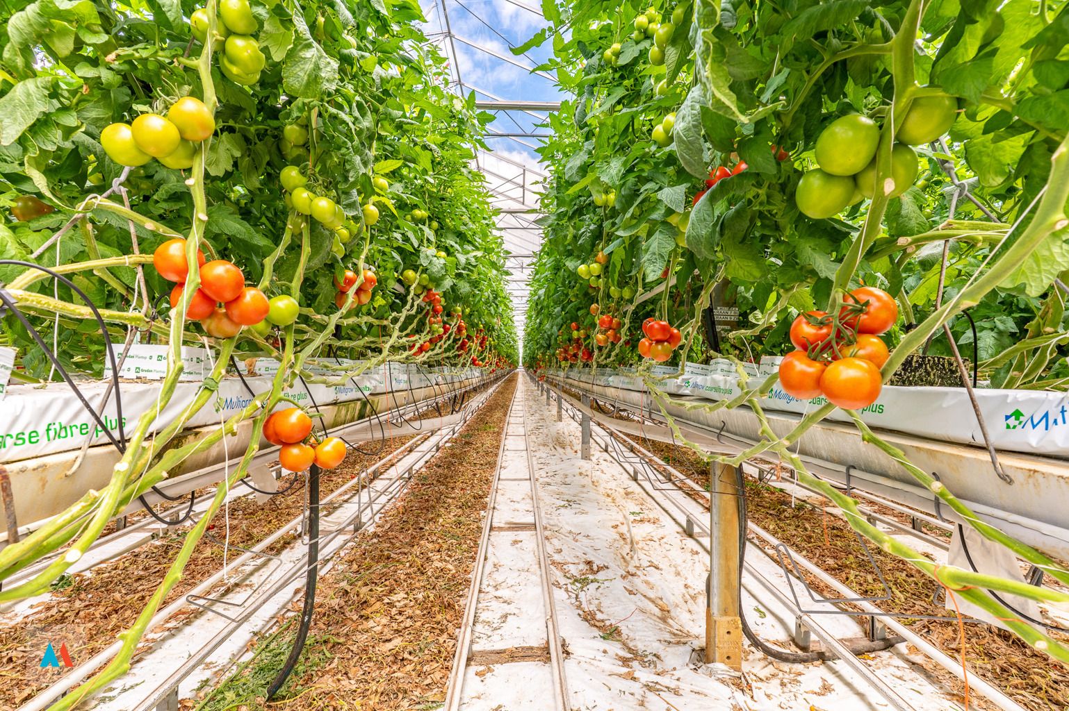 Volledig uitgerust glastuinbouwbedrijf foto 32