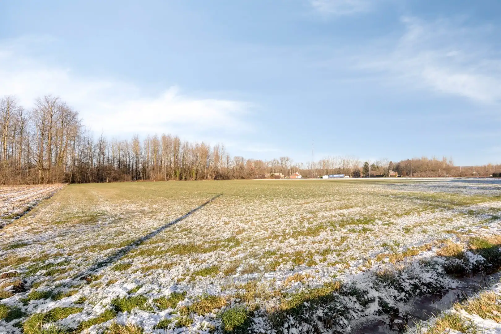 Landbouwgrond vrij van pacht in Wilsele op een perceel van 2ha 03a 20ca foto 4