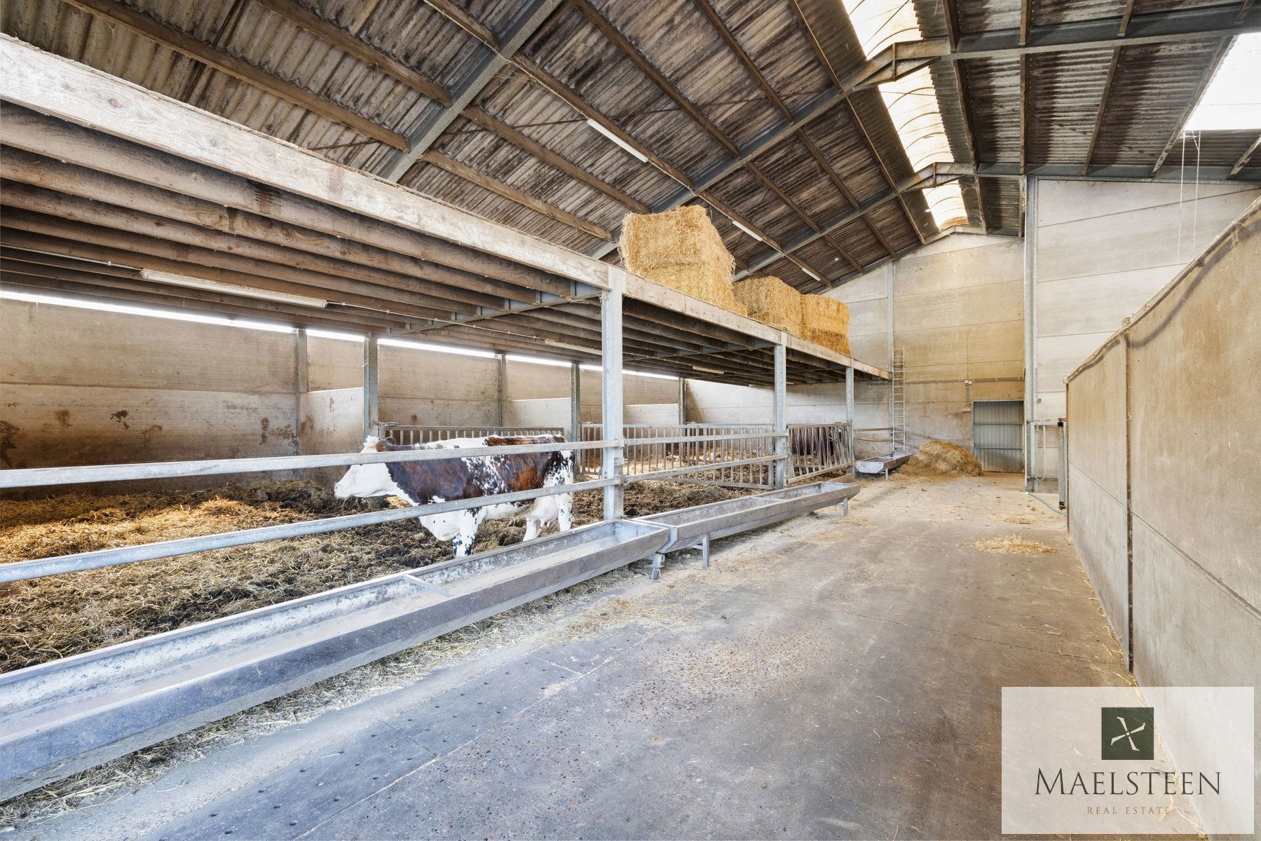 Boerderij met 7,8ha op de flank van Oedelem-berg  foto 38