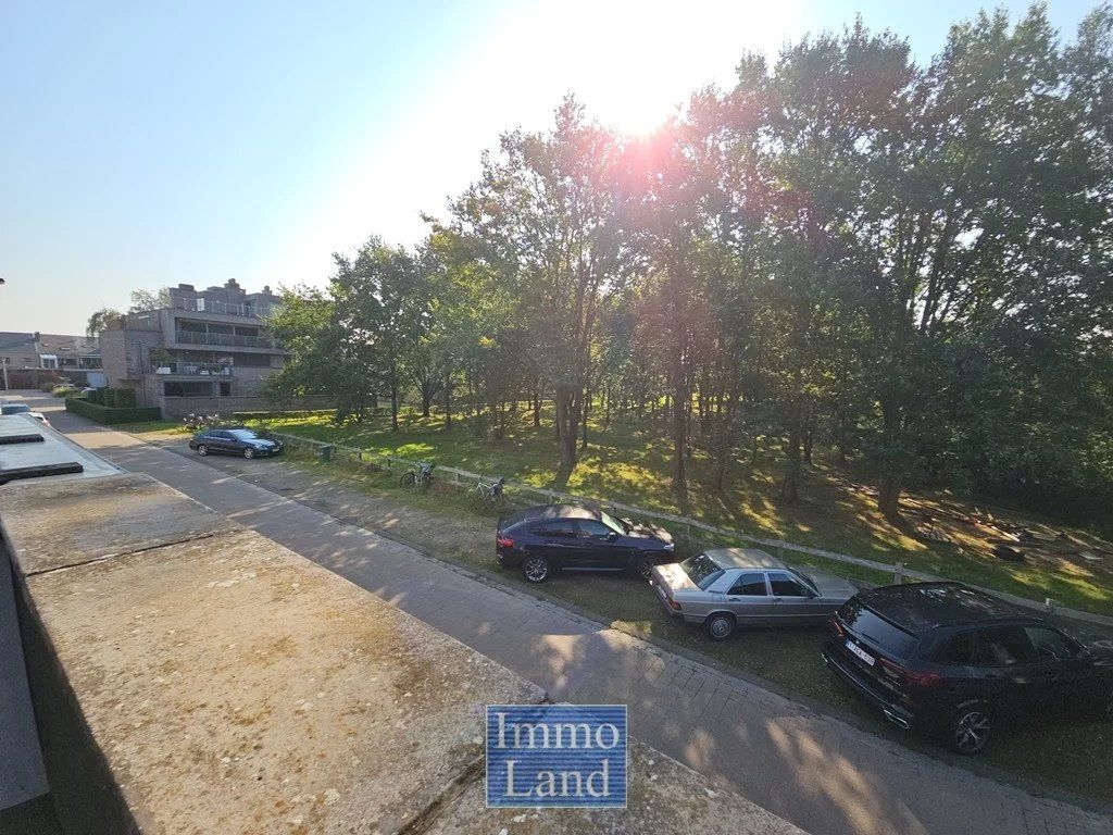 Zeer energiezuinige rustig gelegen woning, binnen de grote ring van Hasselt. foto 17