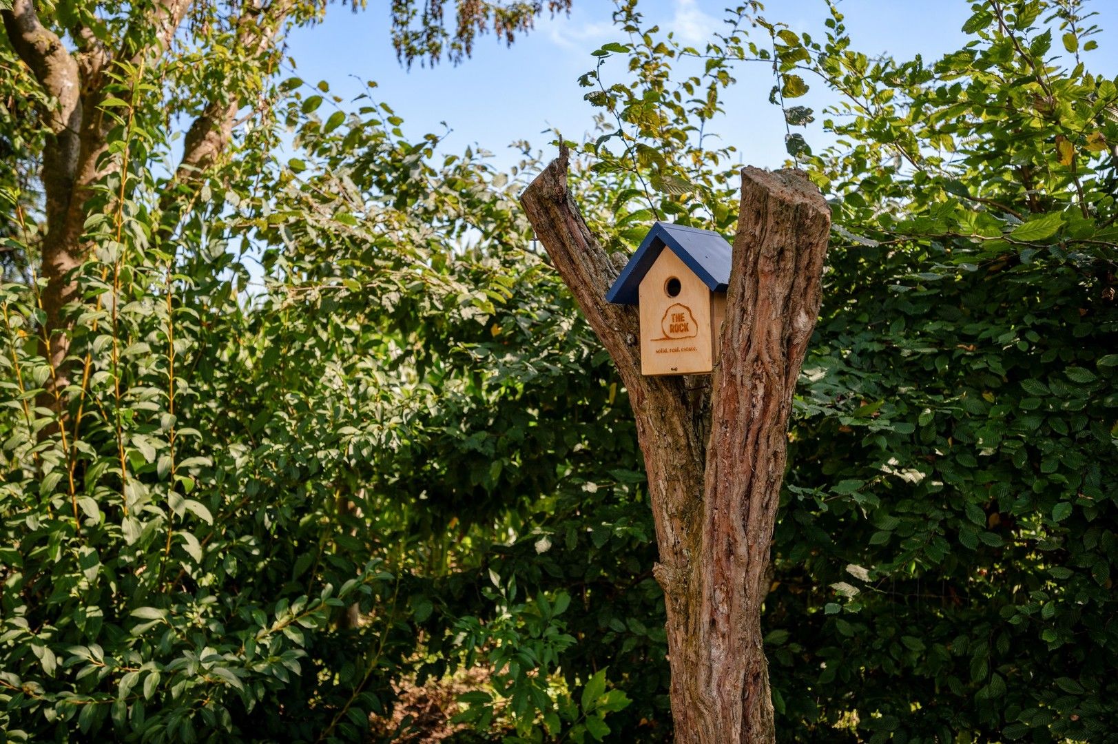 Volledig te renoveren landelijk knus woonhuis of zelf te bouwen woning op deze prachtige locatie in Ingooigem foto 19