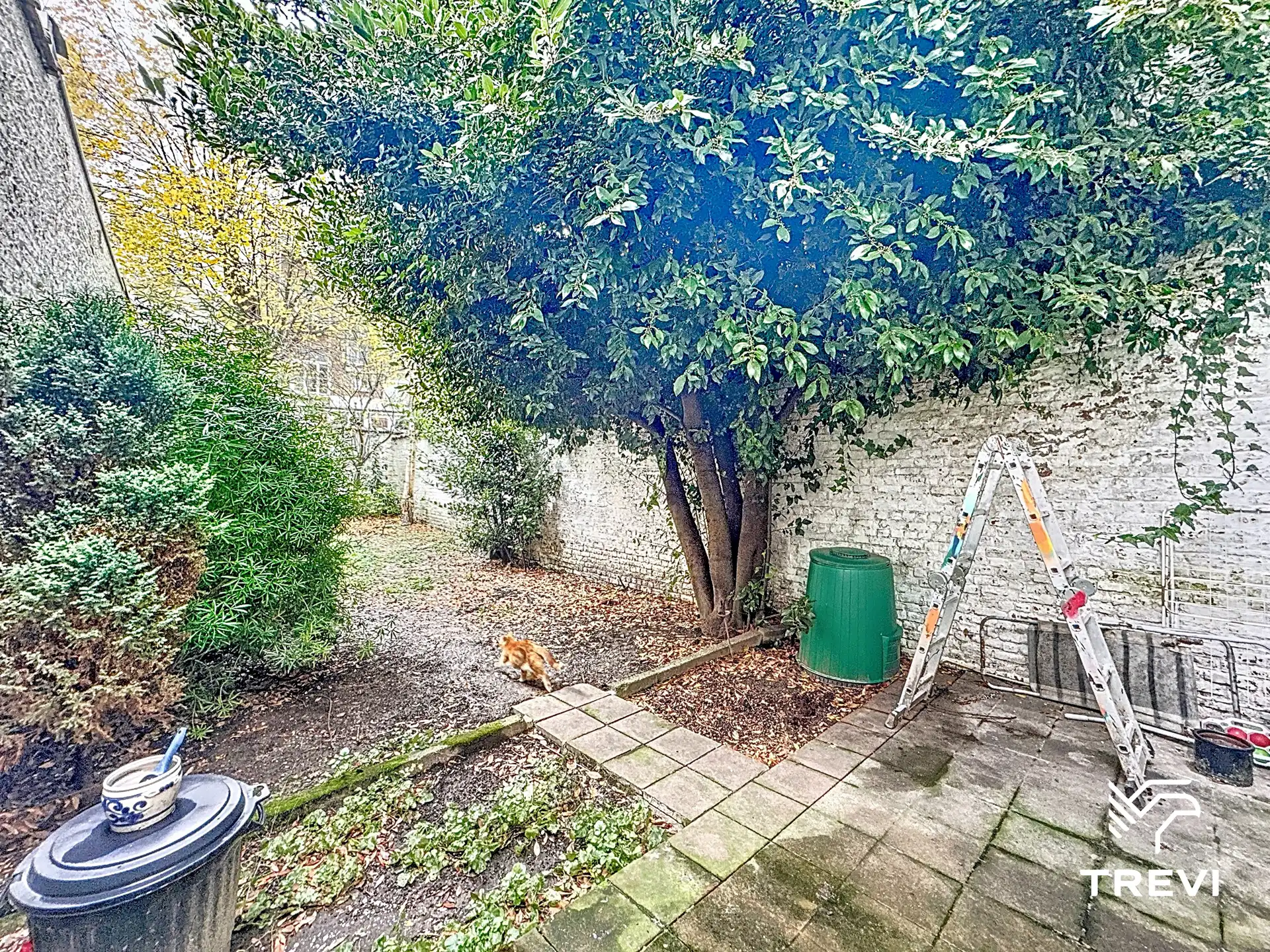 1 slaapkamer appartement met tuin  foto 9