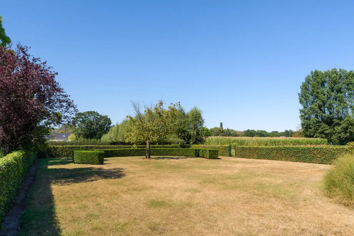 Top gelegen, ruime, vrijstaande woning met 3 slpk., garage en prachtige tuin foto 39