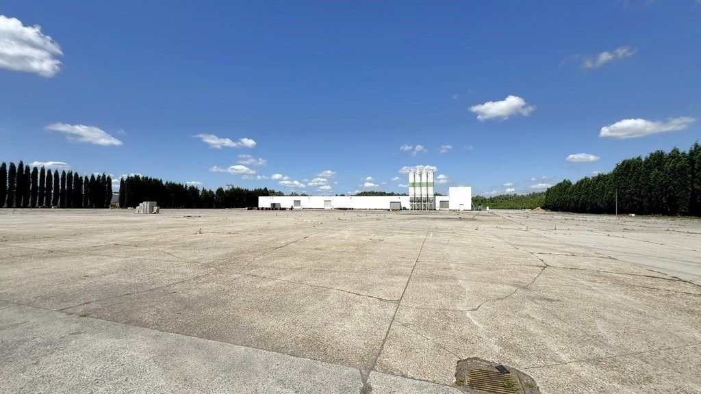 Loods met 1 hectare buitenopslag te huur in Rumst foto 12