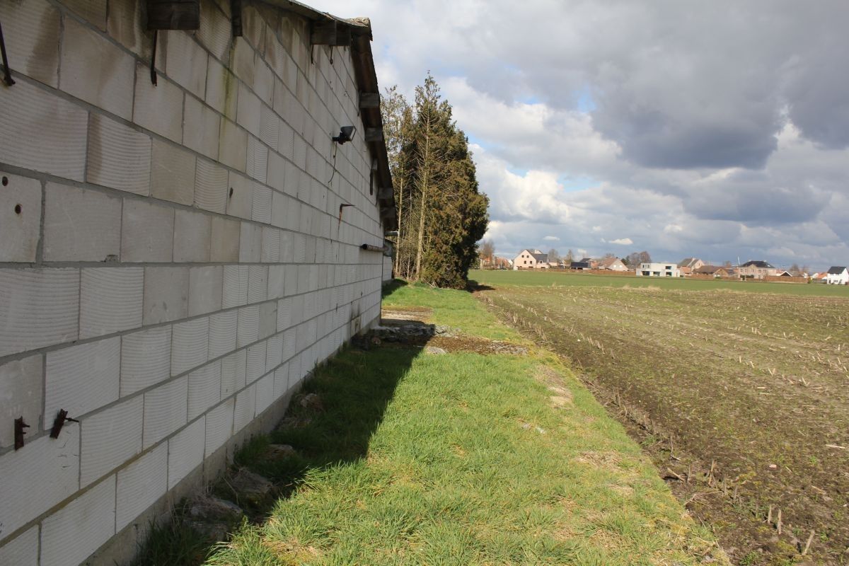 Hoeve met stallen en landbouwgrond te koop te Weelde foto 8