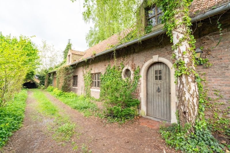 Eigendom 2563m² grondopp - 27m straatbreedte !!! foto 3