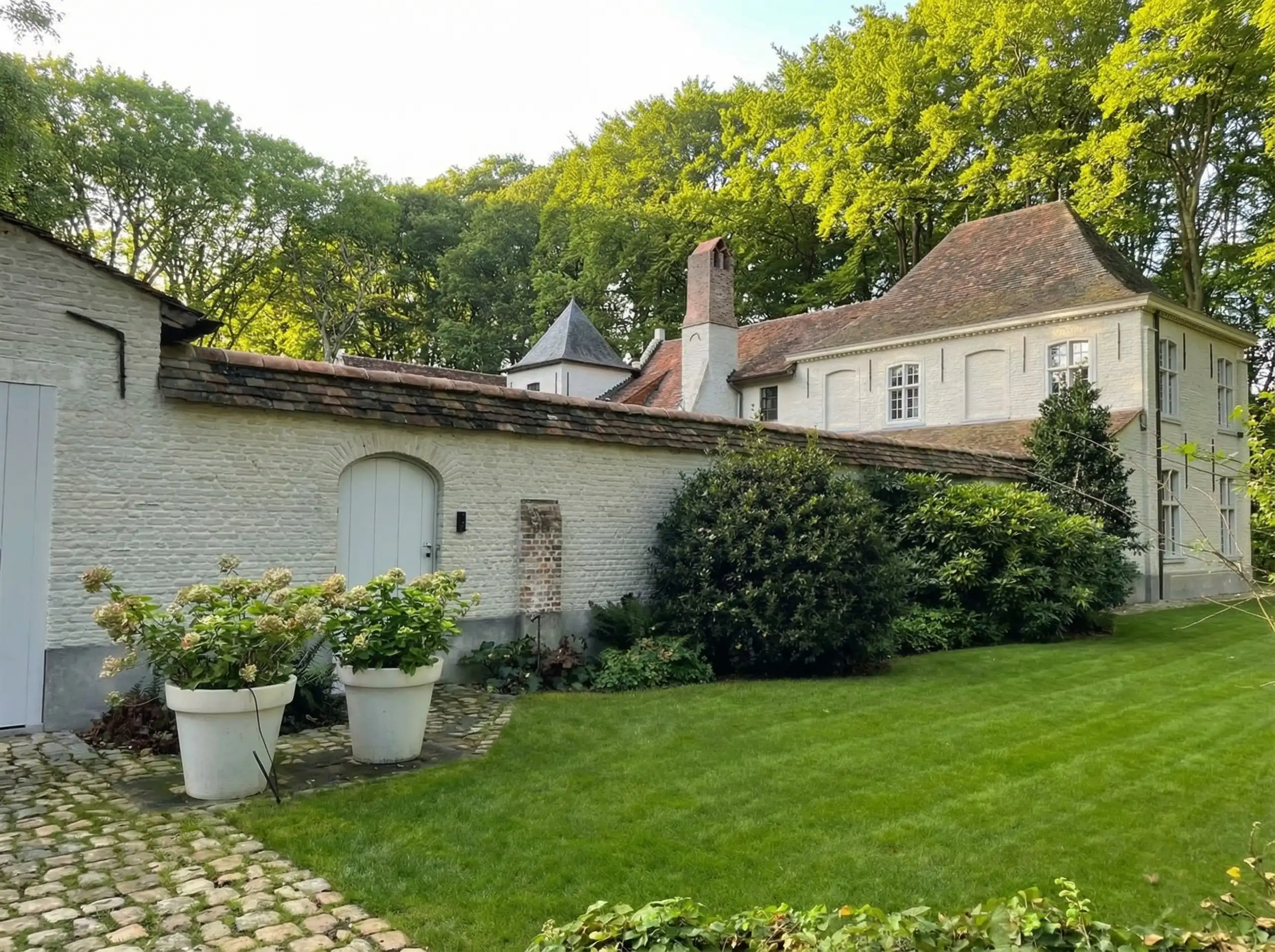 Majestueus Meesterwerk in de bossen van Hertsberge foto 8