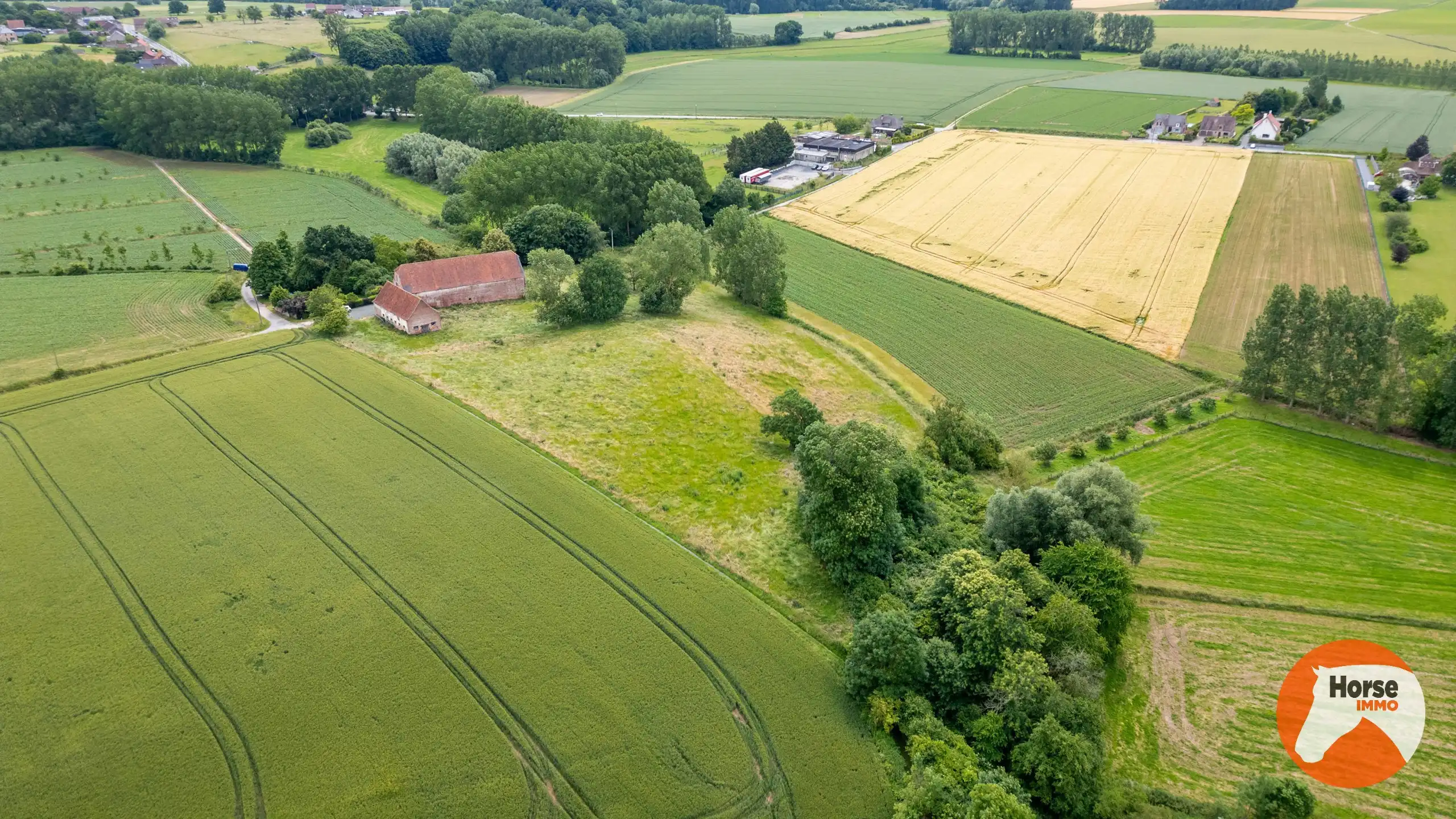 VOLLEZELE - Uniek gelegen karakterhoeve op ca. 2,4ha foto 8