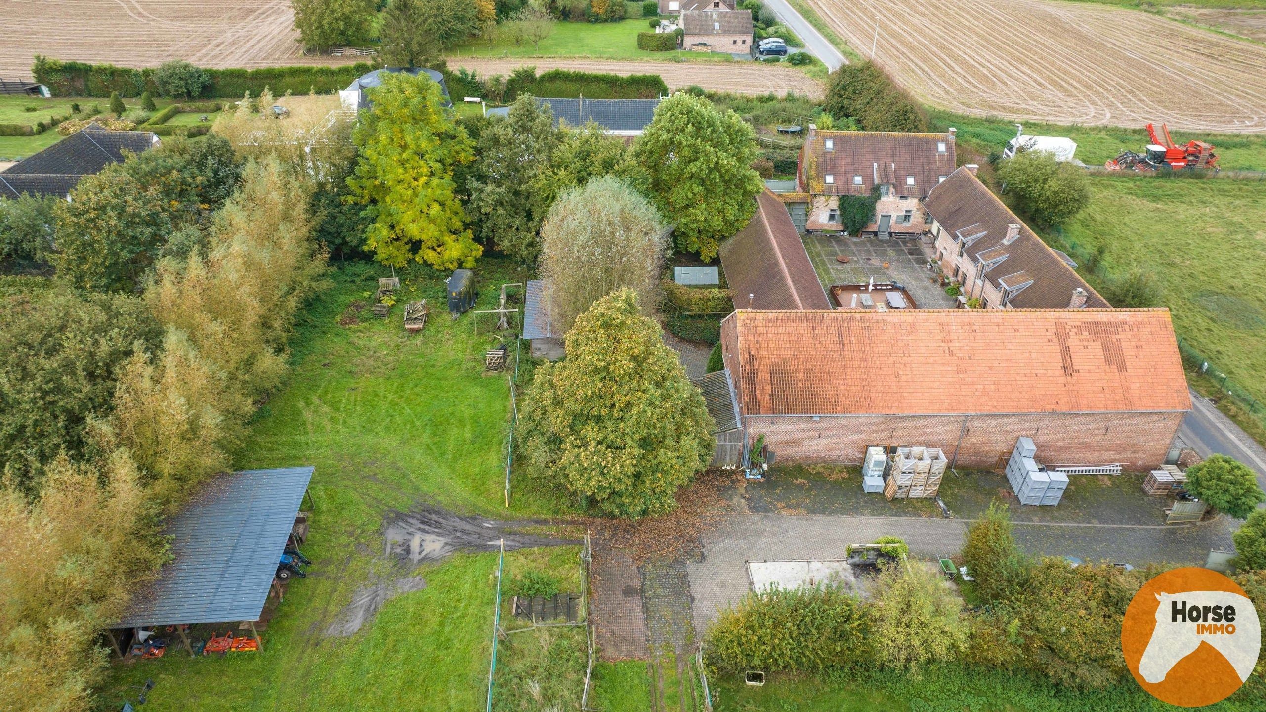 ELINGEN – Veelzijdige vierkantshoeve met ruime schuur foto 32