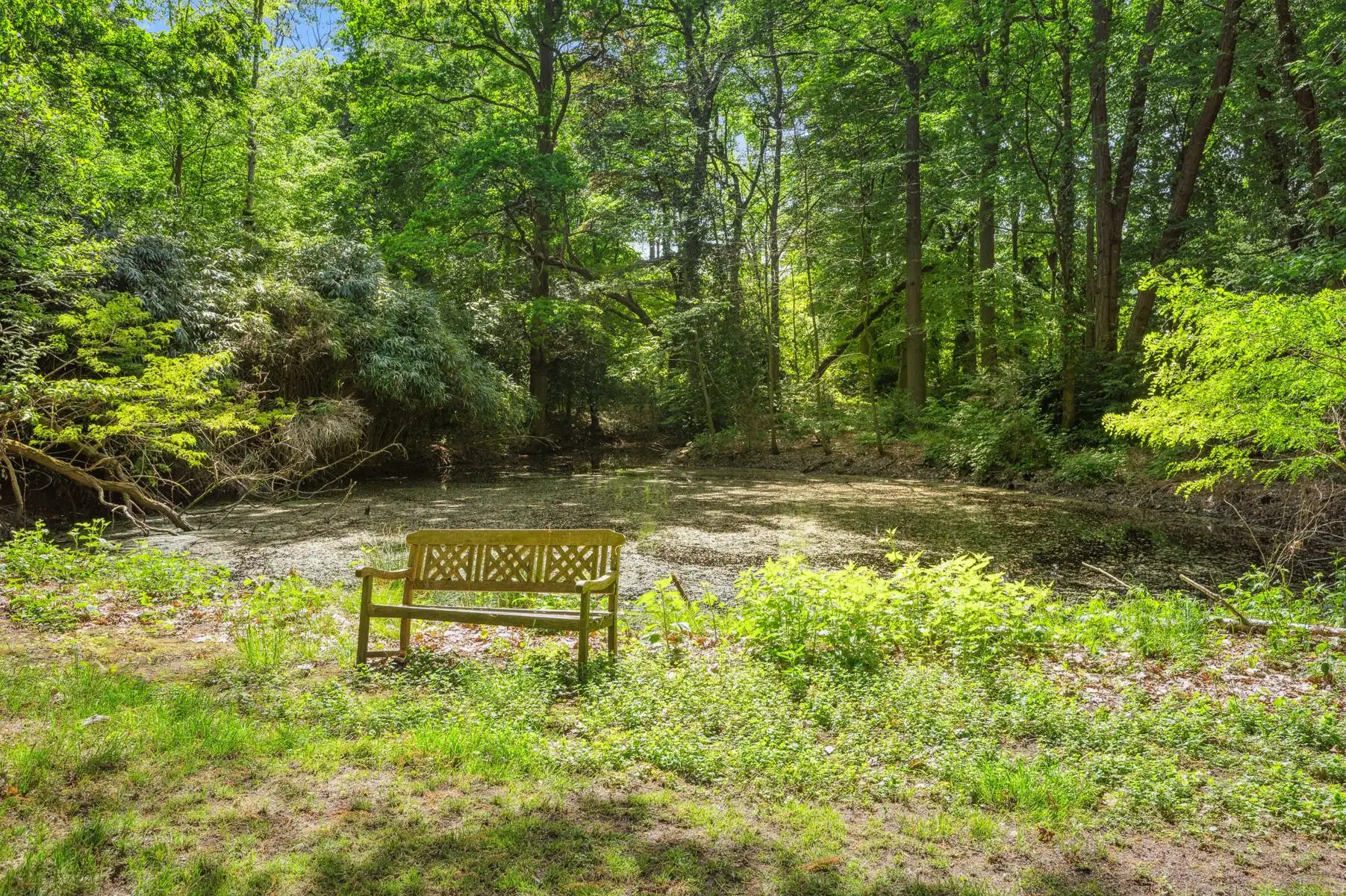 Prachtig kasteel in parktuin te SINT-KATELIJNE-WAVER foto 23