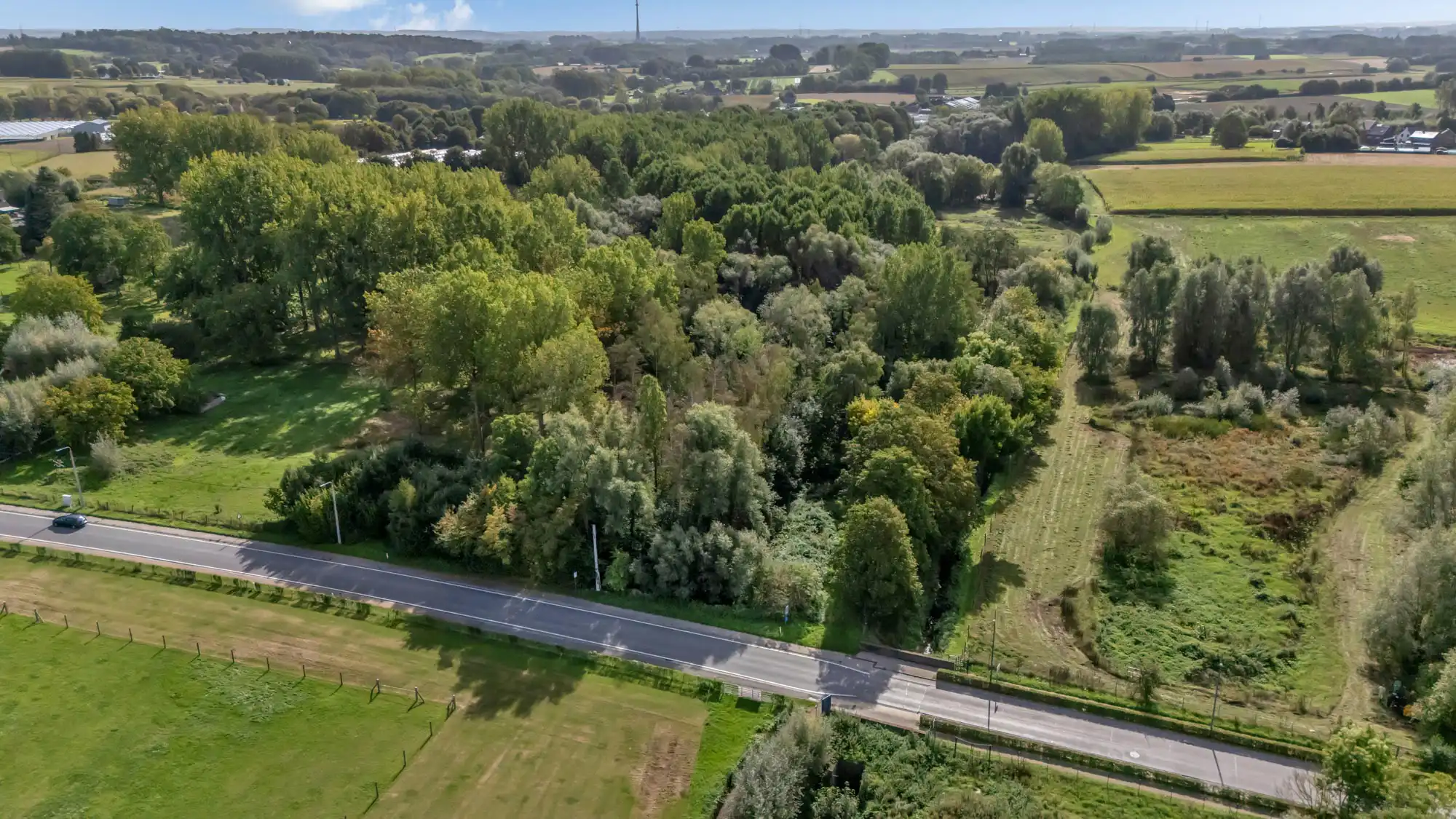 Perceel bosgrond van 5914 m² in Lennik foto 4