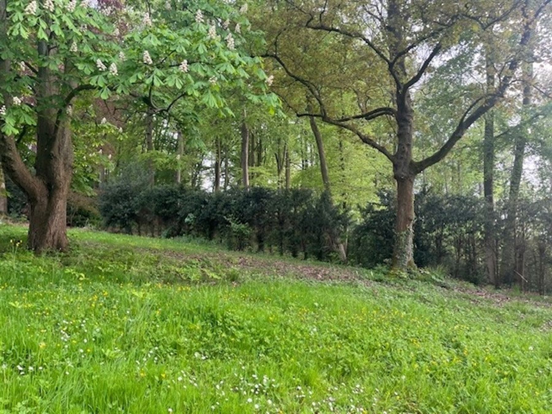 Uniek perceel bouwgrond voor stijlvolle villa met parktuin foto 6