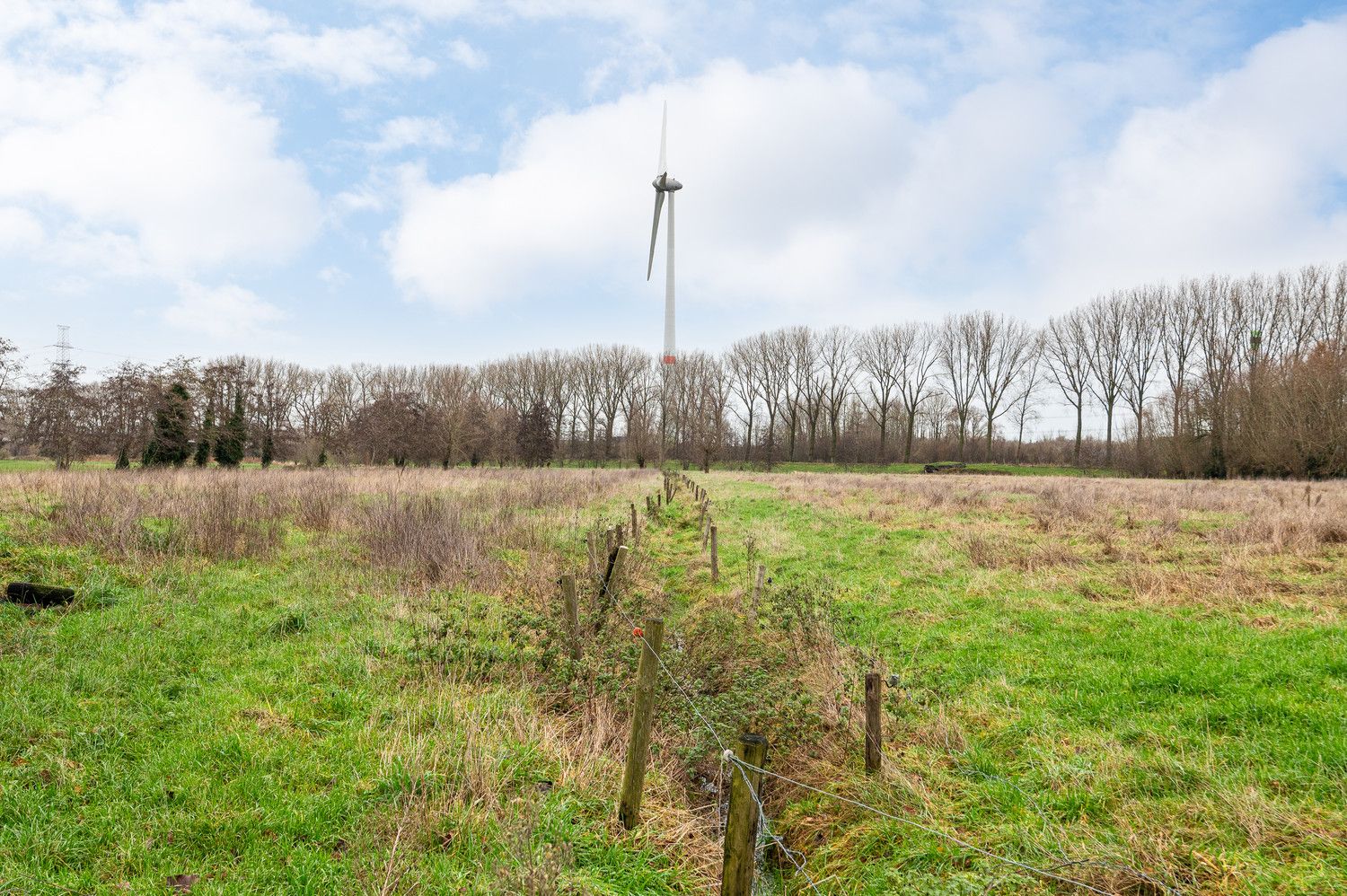 Uitermate rustig gelegen verkaveling met 4 bouwloten. foto 5