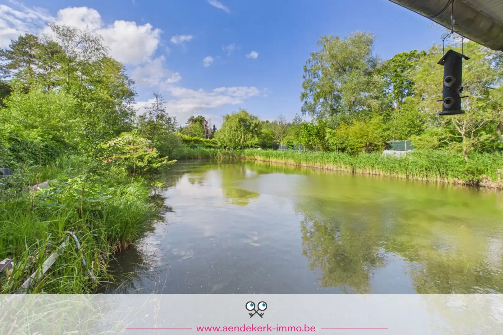 Bijzondere recreatie-eigendom met vijver en bemeubelde chalet te Maaseik foto 7