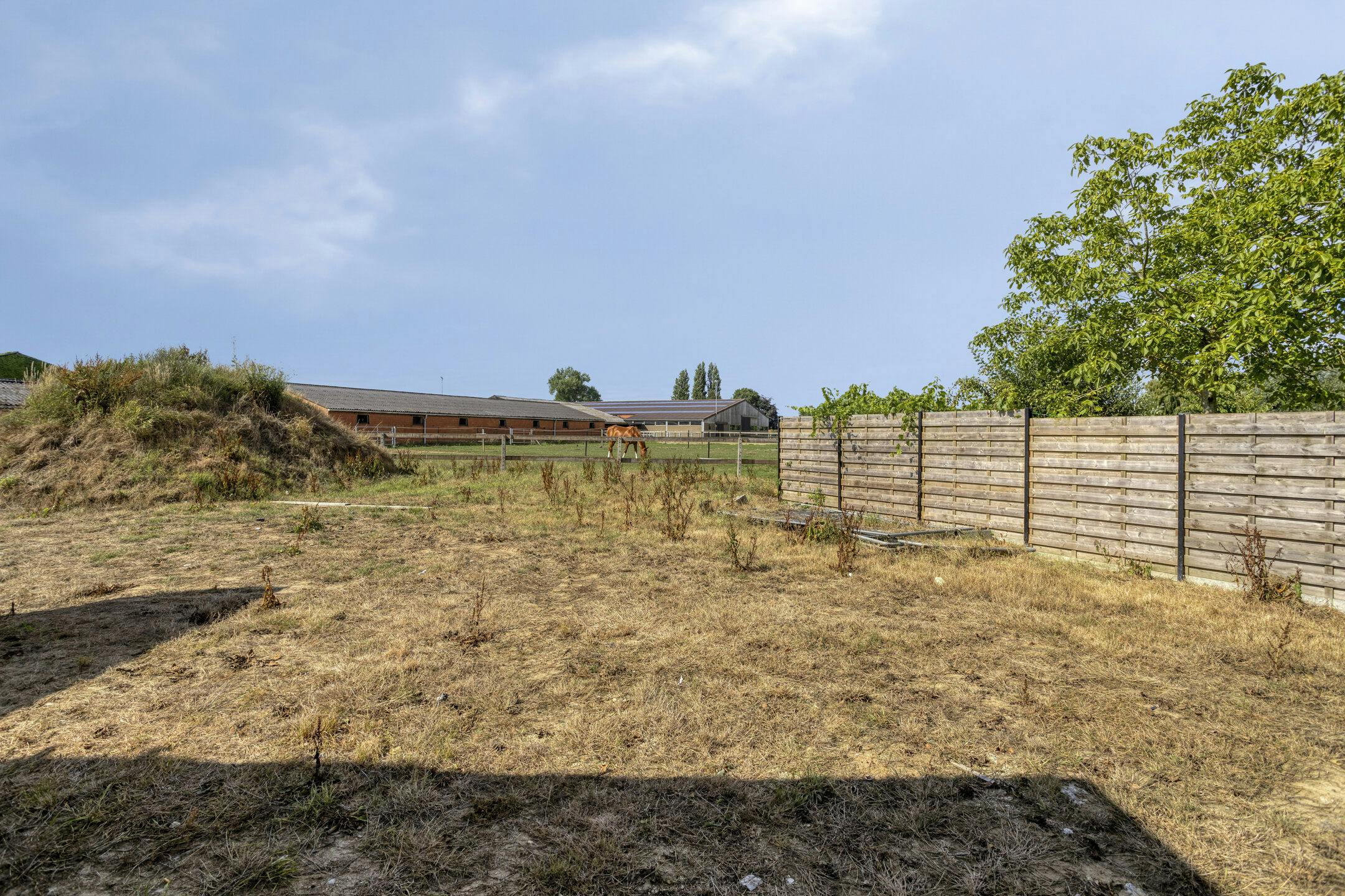 Landelijke nieuwbouwwoning met 3 kamers te koop in Avelgem foto 15