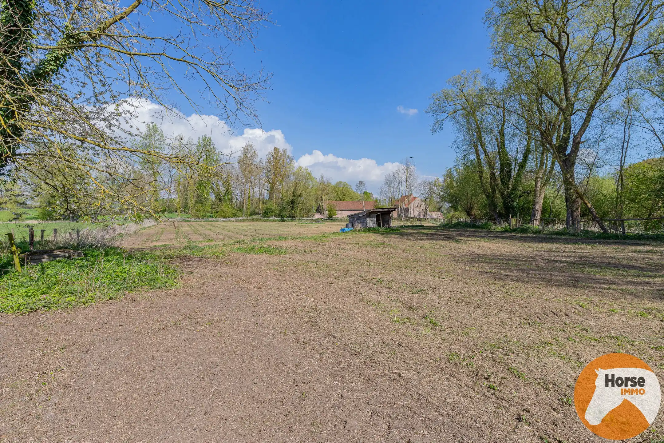 HELDERGEM – Goed bereikbare weide van 8.160 m² foto 8