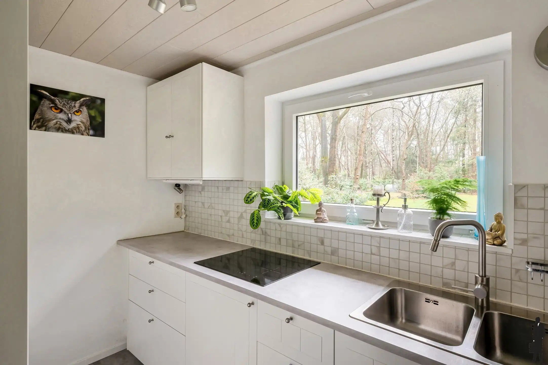 Rustig gelegen weekendwoning met héel veel privacy foto 8