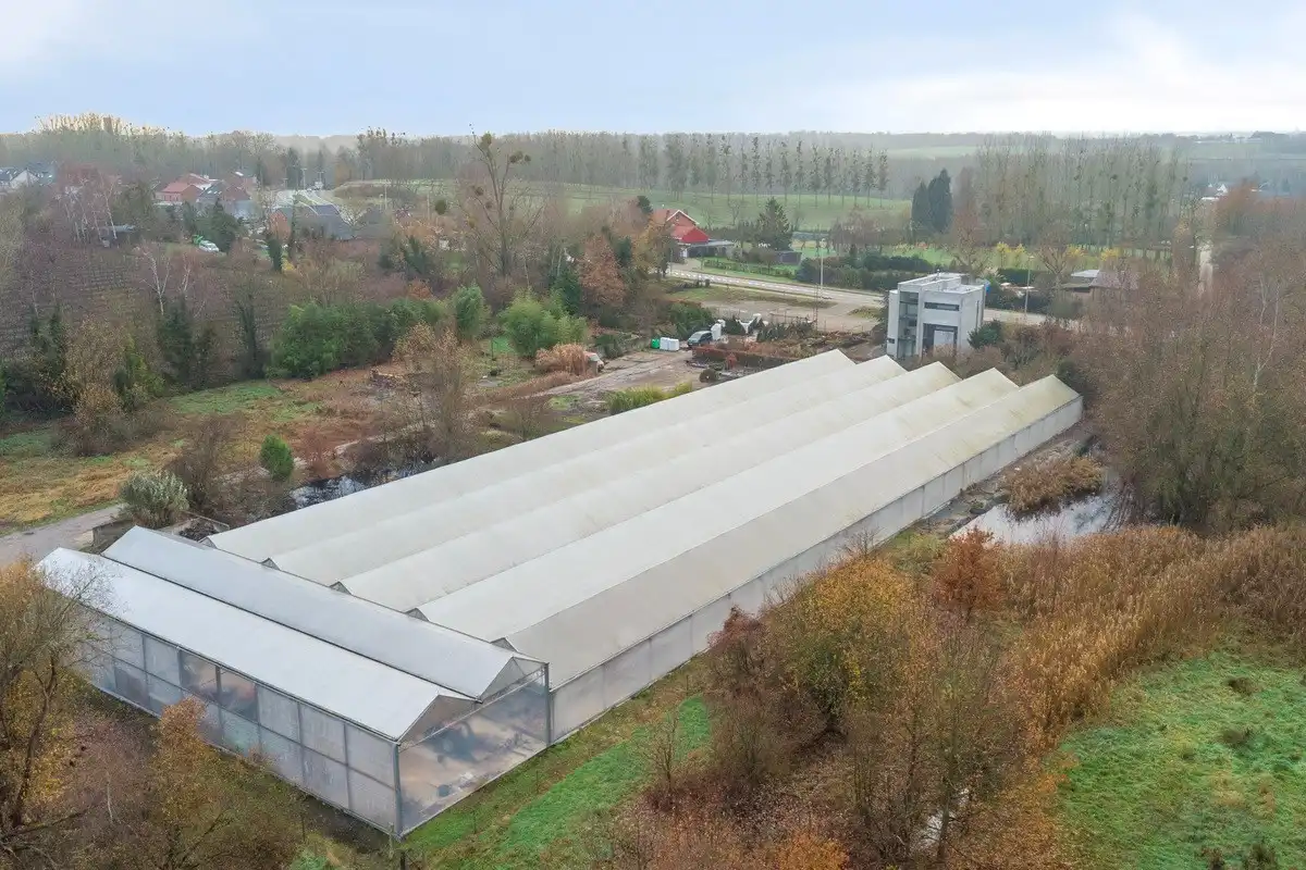 Tuinbouwcentrum met ruime woning op een perceel van 4,26 hectare foto 18