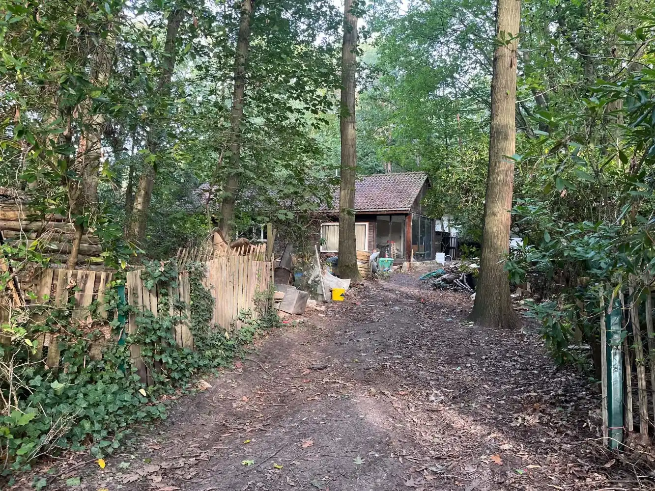 Volledig te renoveren woning in bosrijke omgeving te Essen foto 2