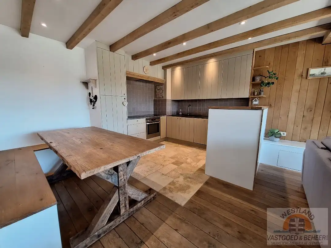 Prachtig appartement met zicht op de duinen foto 2