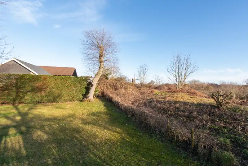 Villa 4 slaapkamers met uitzicht op het duinenreservaat te koop foto 3