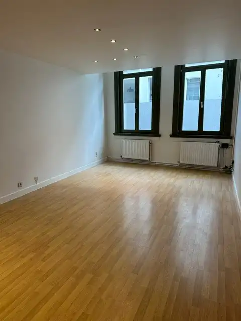Gerenoveerd gelijkvloers appartement met 1 slaapkamer in een mooi herenhuis foto 3