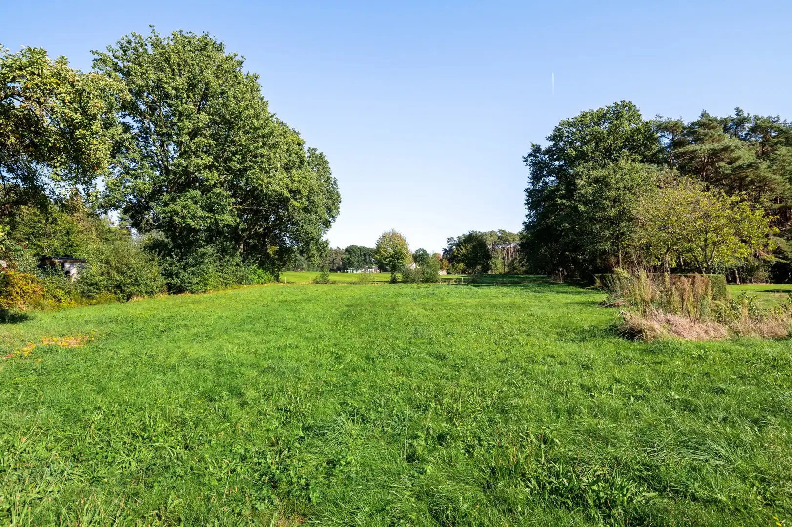 Vrijstaande woning op een ruim perceel van 3.330 m² met prachtig groen uitzicht en tal van mogelijkheden foto 33