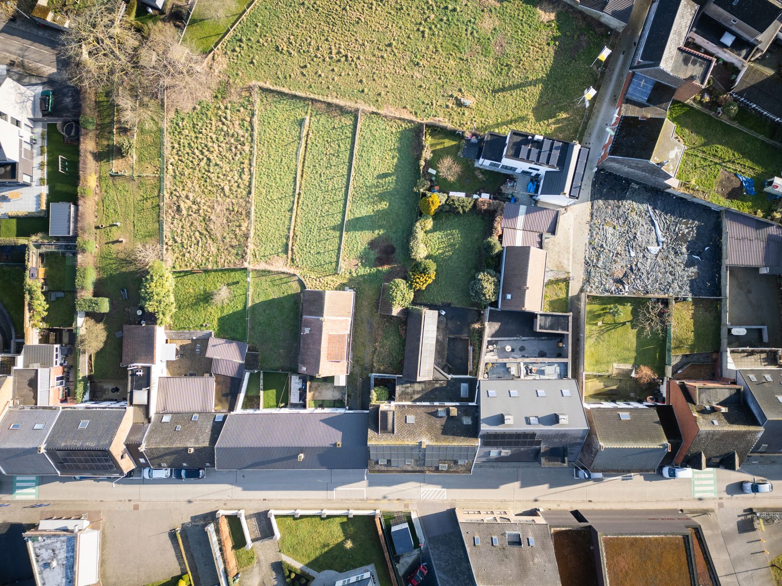 Projectgrond te Denderhoutem met woning. foto 40