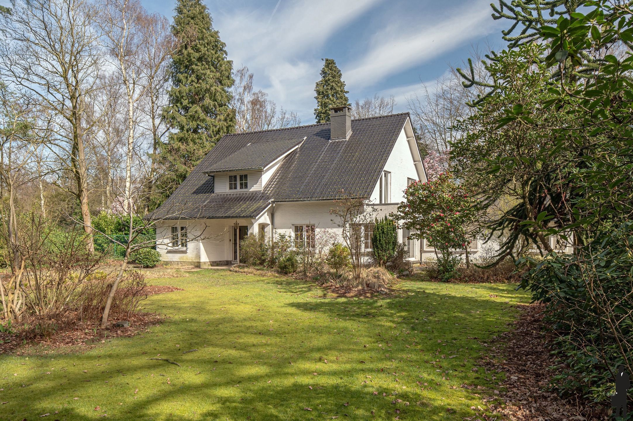 In Vriesdonk, op wandelafstand van de  openluchtschool Sint-Ludgardis gelegen, volledig te renoveren villa op ca. 1.800 m². foto 14