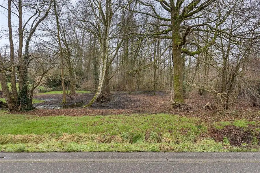 Bouwgrond te koop in Tessenderlo-Ham op perceel van 16a 76ca foto 6