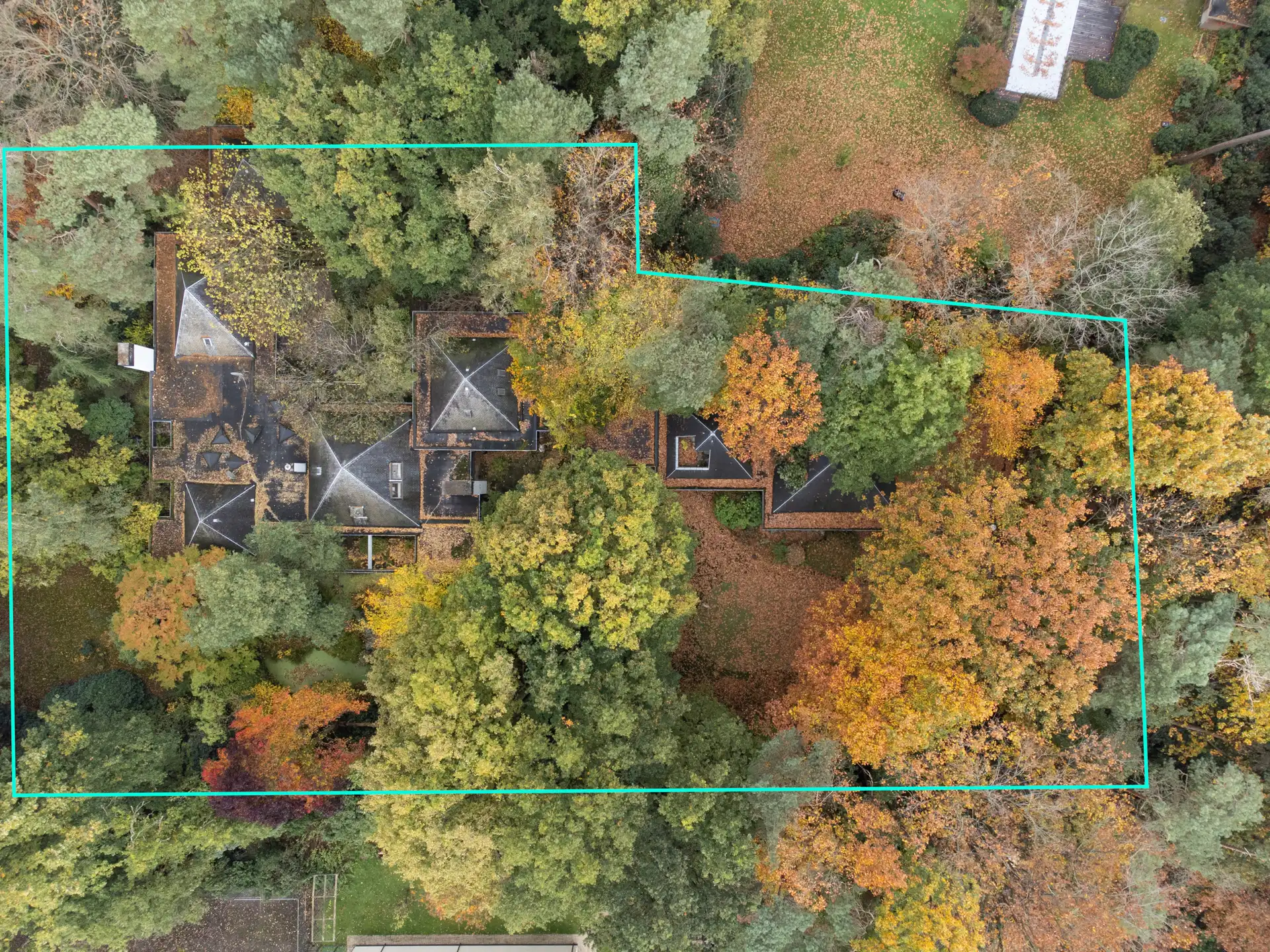Hoofdfoto van de publicatie: Verscholen in de natuur, in 1 van de mooiste lanen van Vriesdonk, rustig en residentieel: Architectenwoning op ca. 5.710 m². 