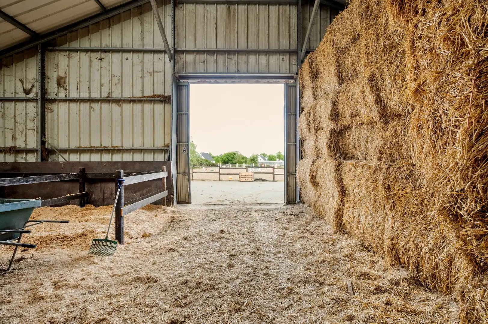 Uitzonderlijke hoeve met binnenpiste en paardenstallen op 1,88 hectare foto 23
