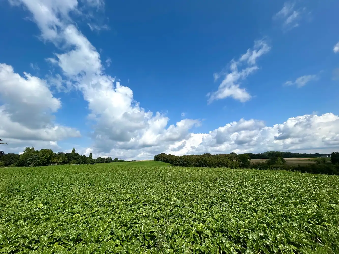 Uniek eigendom met enorme schuur en panoramisch uitzicht in Neerijse foto 21