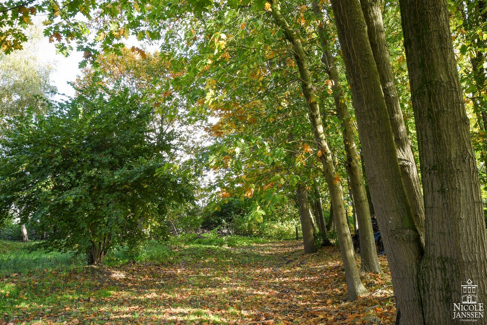 Vrijstaande, ruime gezinswoning op een royaal perceel met grote kelder en paardenstal foto 36