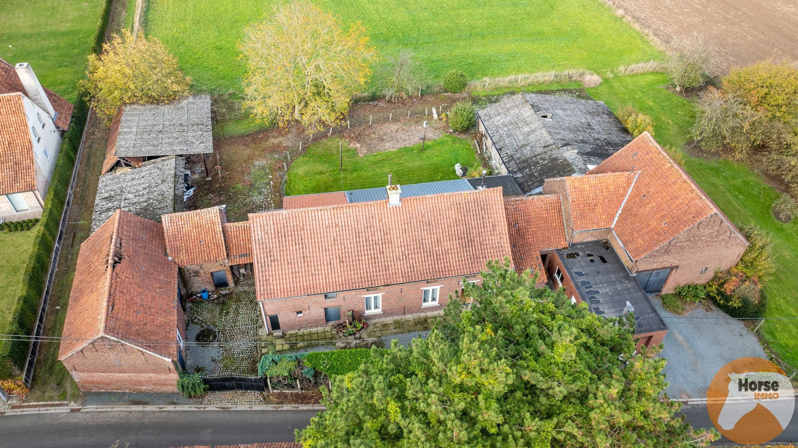 ASSE - Te renoveren hoeve met ruime schuur op 1,85 ha foto 21