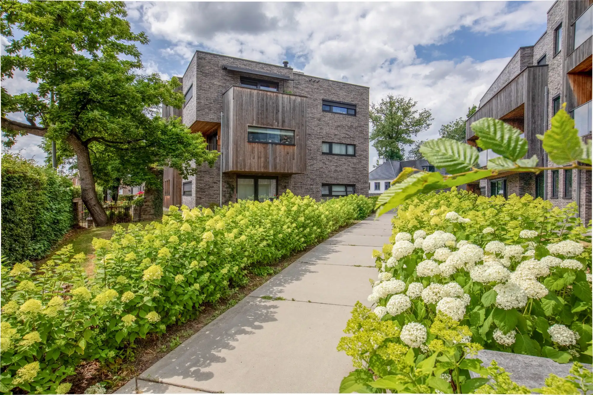 Energiezuinige assistentiewoning met autostaanplaats en groene omgeving foto {{pictureIndex}}