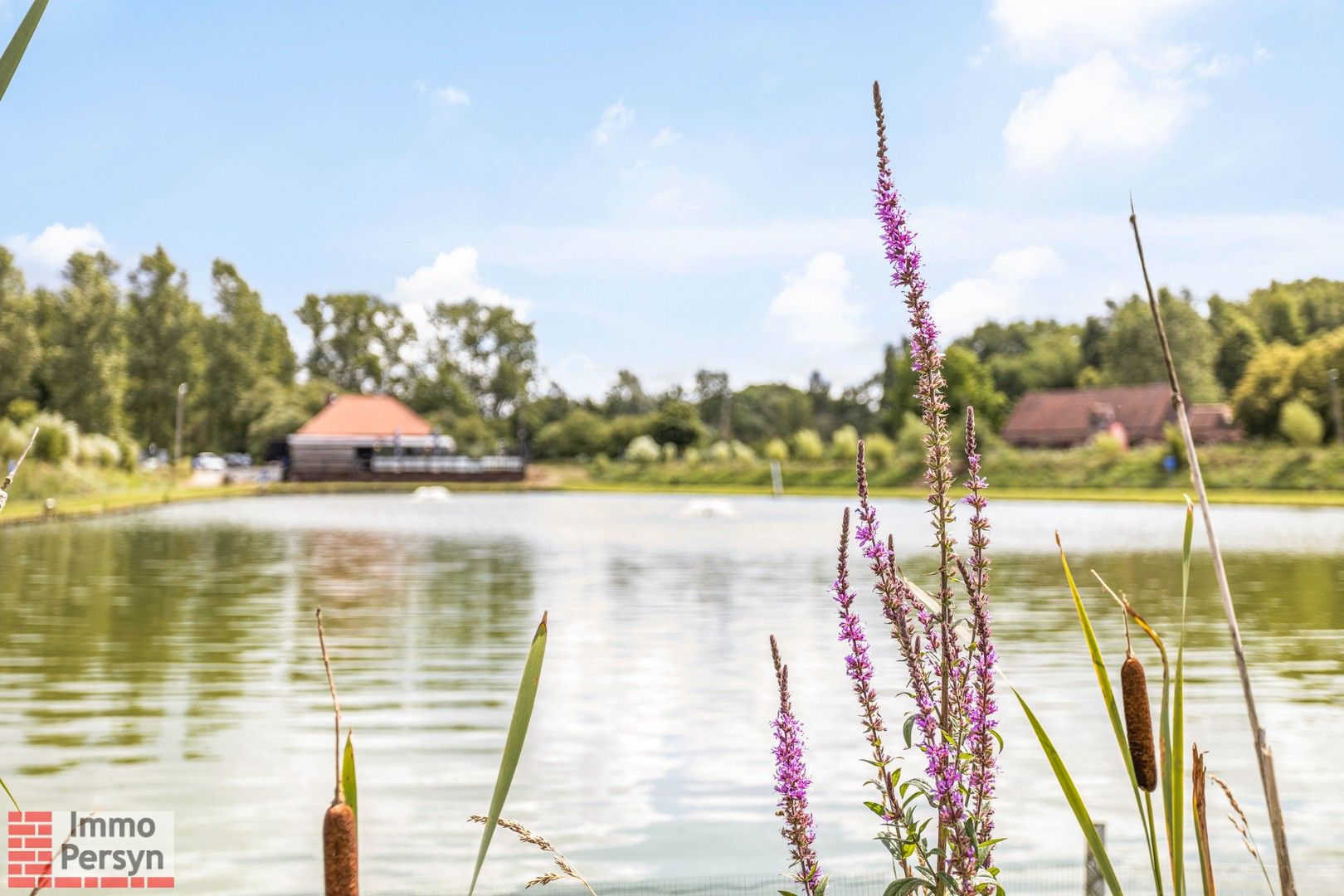 De spellehut zoekt nieuwe eigenaar foto 23