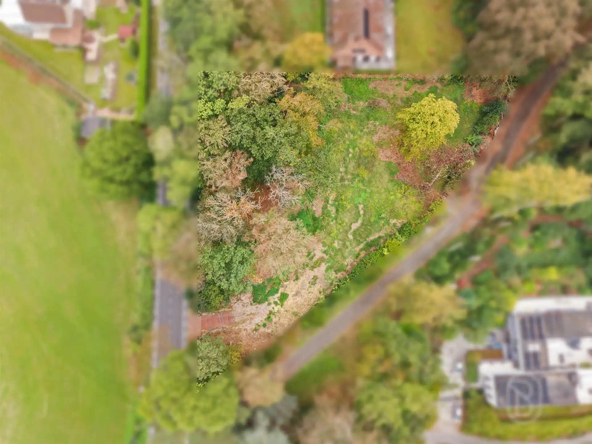 Goedgelegen bouwgrond (3.453m2) voor alleenstaande villa te Ronse foto 2