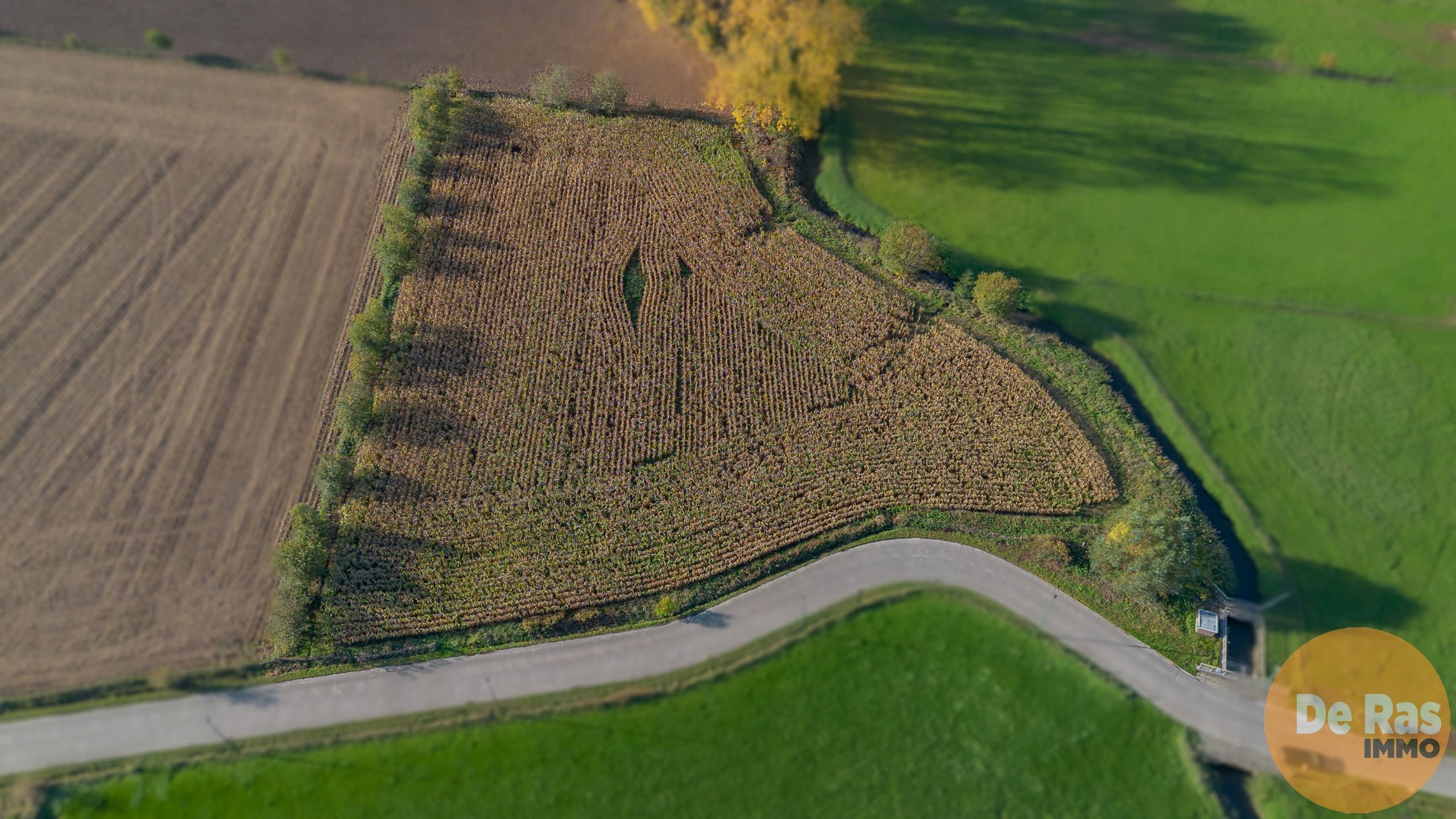 AALST - Landbouwgrond/weide 81a foto 8