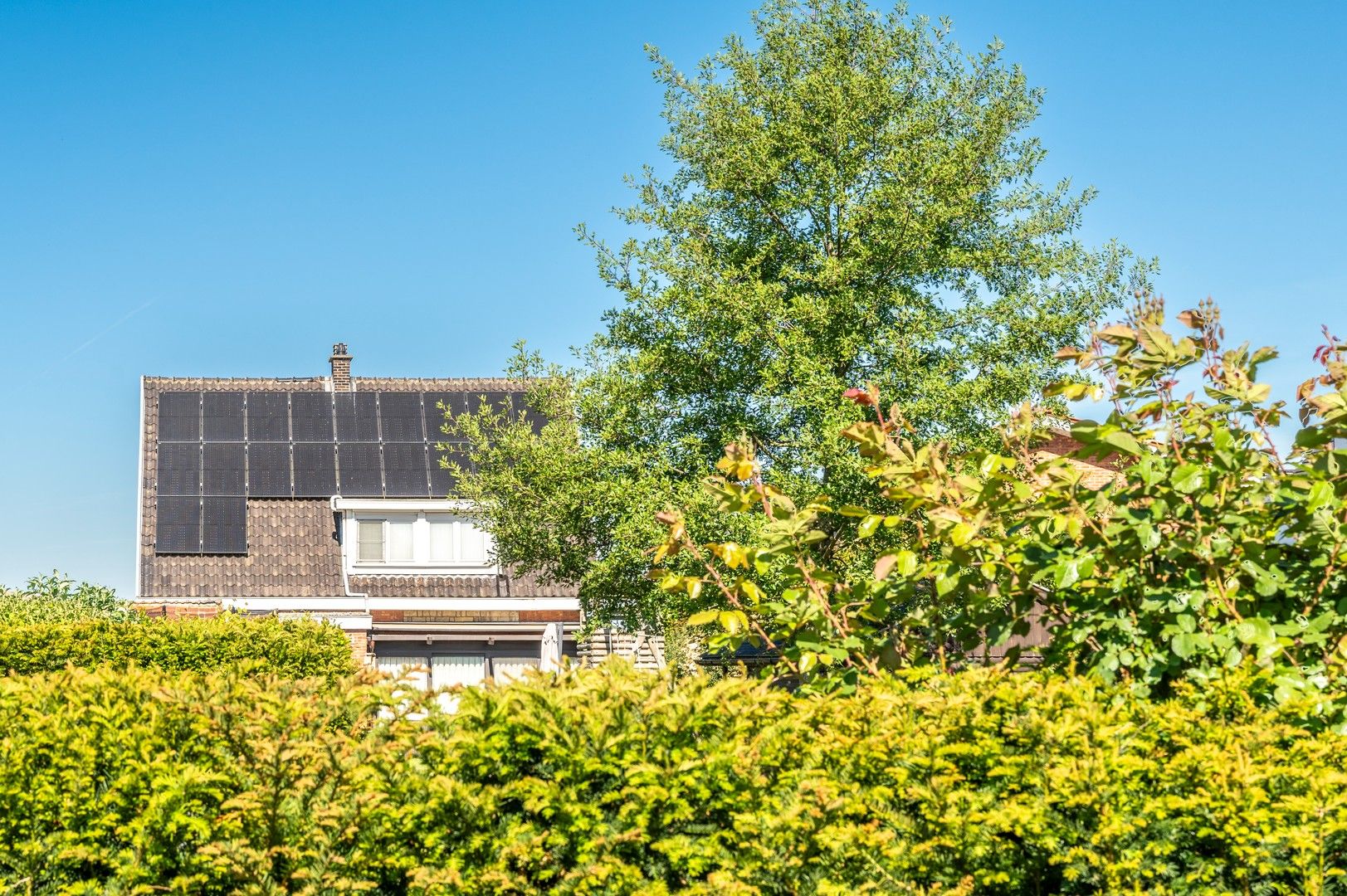 Energie efficiënte open bebouwing met grote tuin foto 9