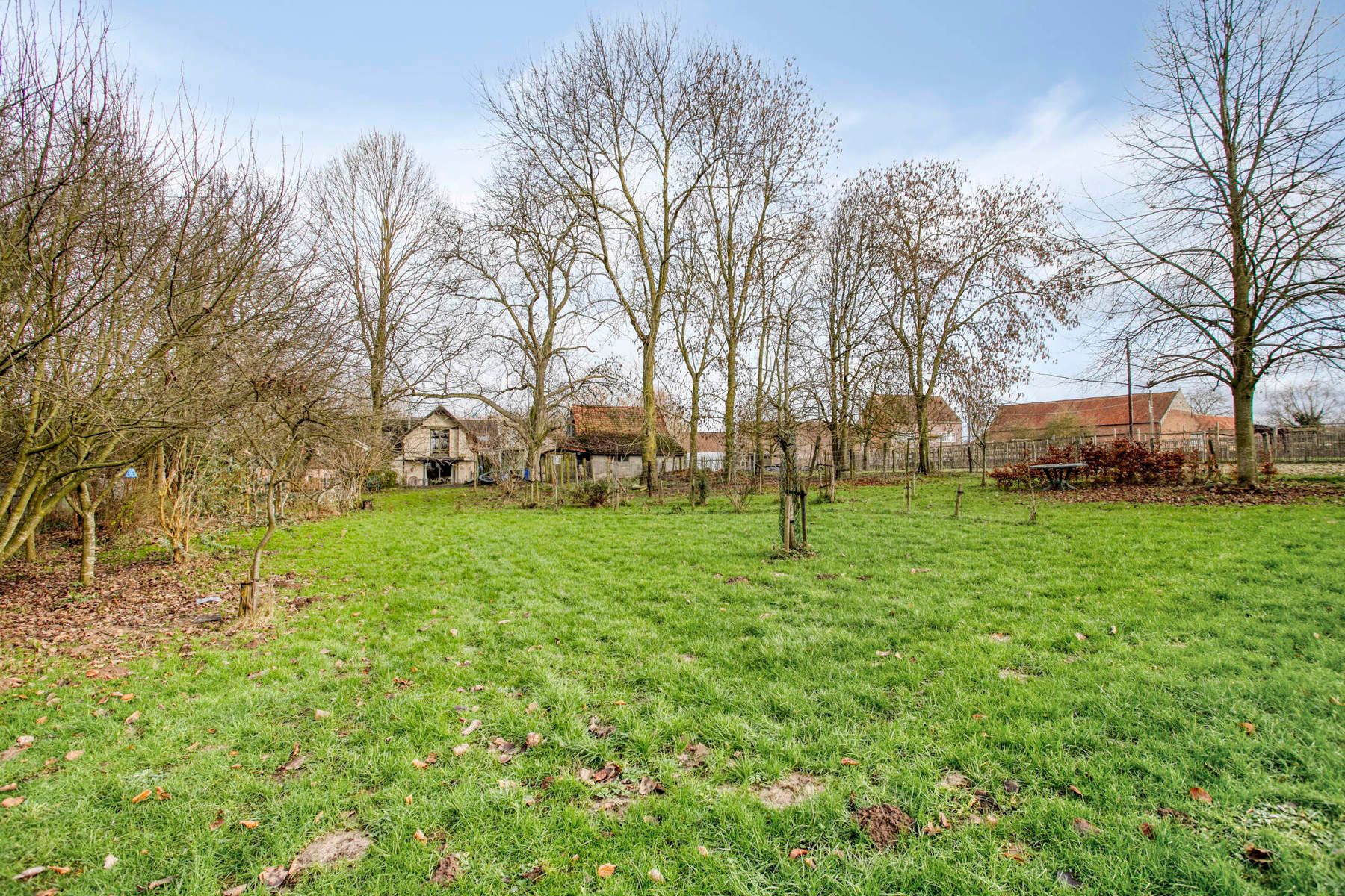 Open bebouwing op 8035 m² met idyllische ligging foto 25