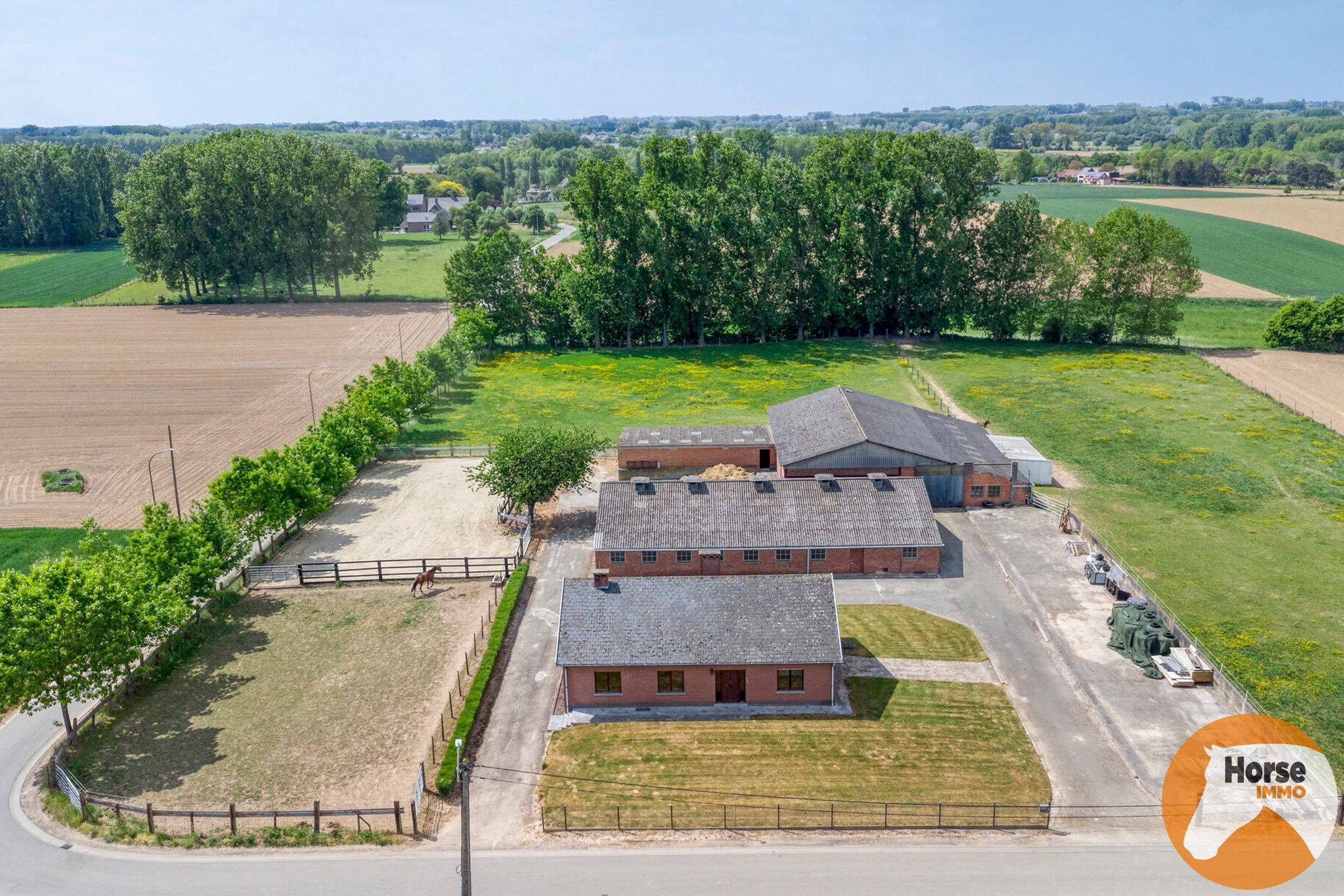 WOUBRECHTEGEM - Charmante woning met 2 loodsen op 1,61 ha  foto 38