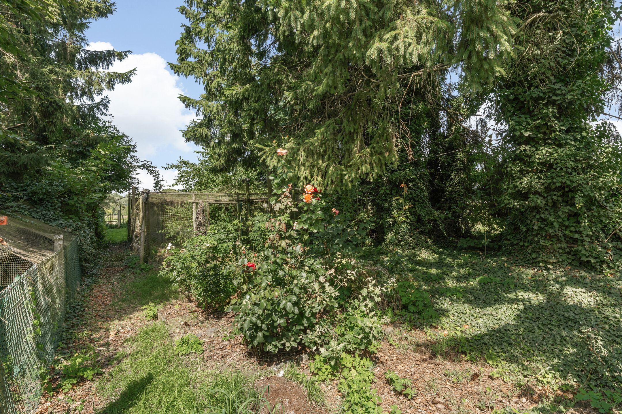 Statige herenwoning op 11a40ca te Membruggen foto 5
