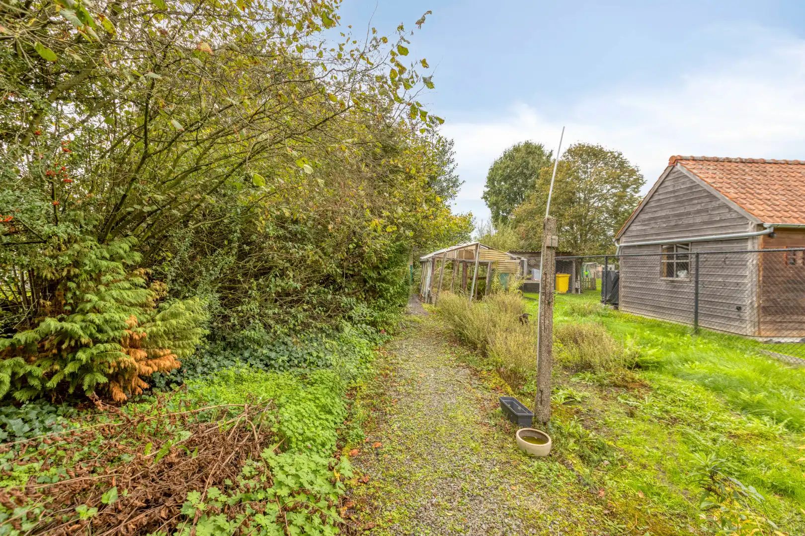 Te renoveren woning met 3 slaapkamers en ruime tuin op 1.065 m² te OLV Olen !  foto 20
