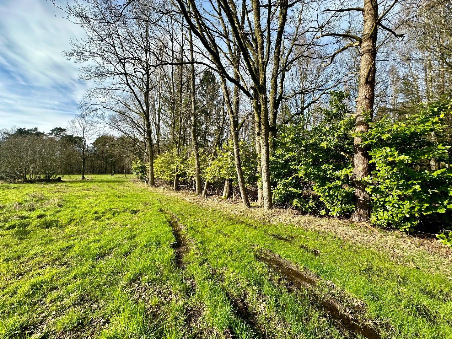 Gunstig gelegen WEILAND met een oppervlakte van 2975 m²  foto 3