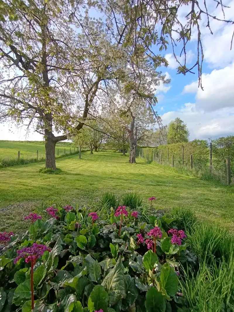 Karaktervolle woning in het landelijke Vreren (Tongeren) foto 24