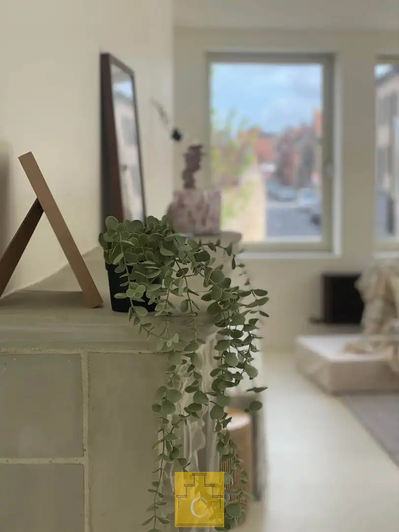 hippe eigentijds gerenoveerde hoekwoning met 2 garages en zonnige stadstuin in de gegeerde Sint-Annawijk foto 3