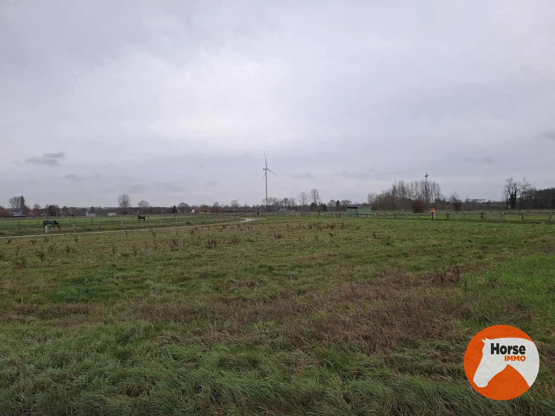 HAALTERT - Weide van +- 55a  foto 6