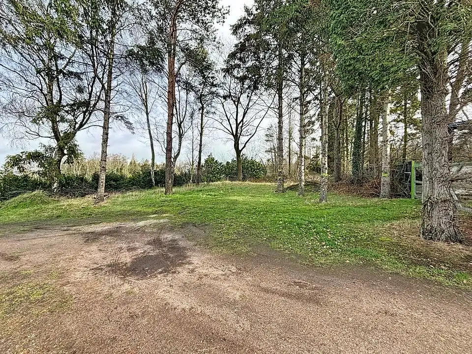 Rustig gelegen grond (997 m²) te koop in Wuustwezel foto 8